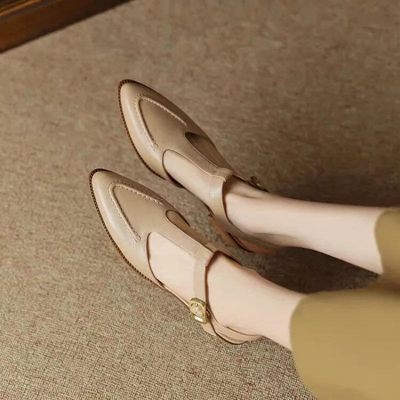 Women's T-Strap Buckle Shoes Pointed Toe Low Heel — close-up