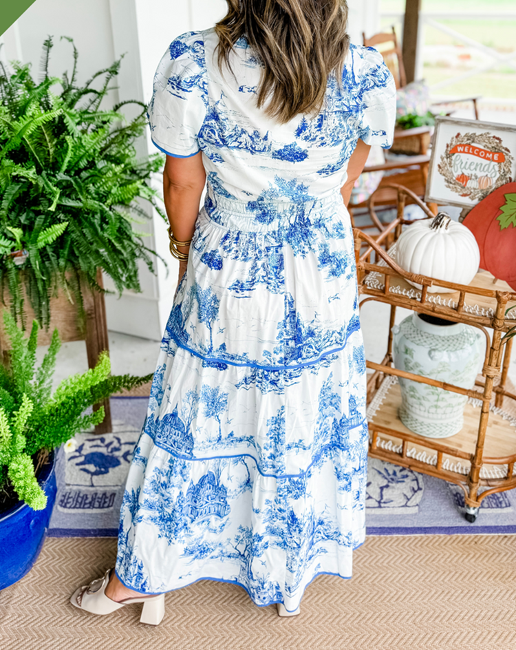 Women's Toile Print Spring Maxi Dress — close-up